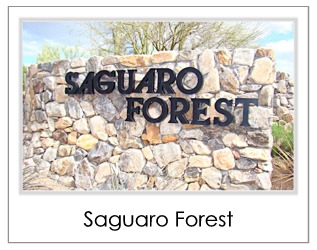 Saguaro Forest Homes For Sale in Desert Mountain Scottsdale AZ